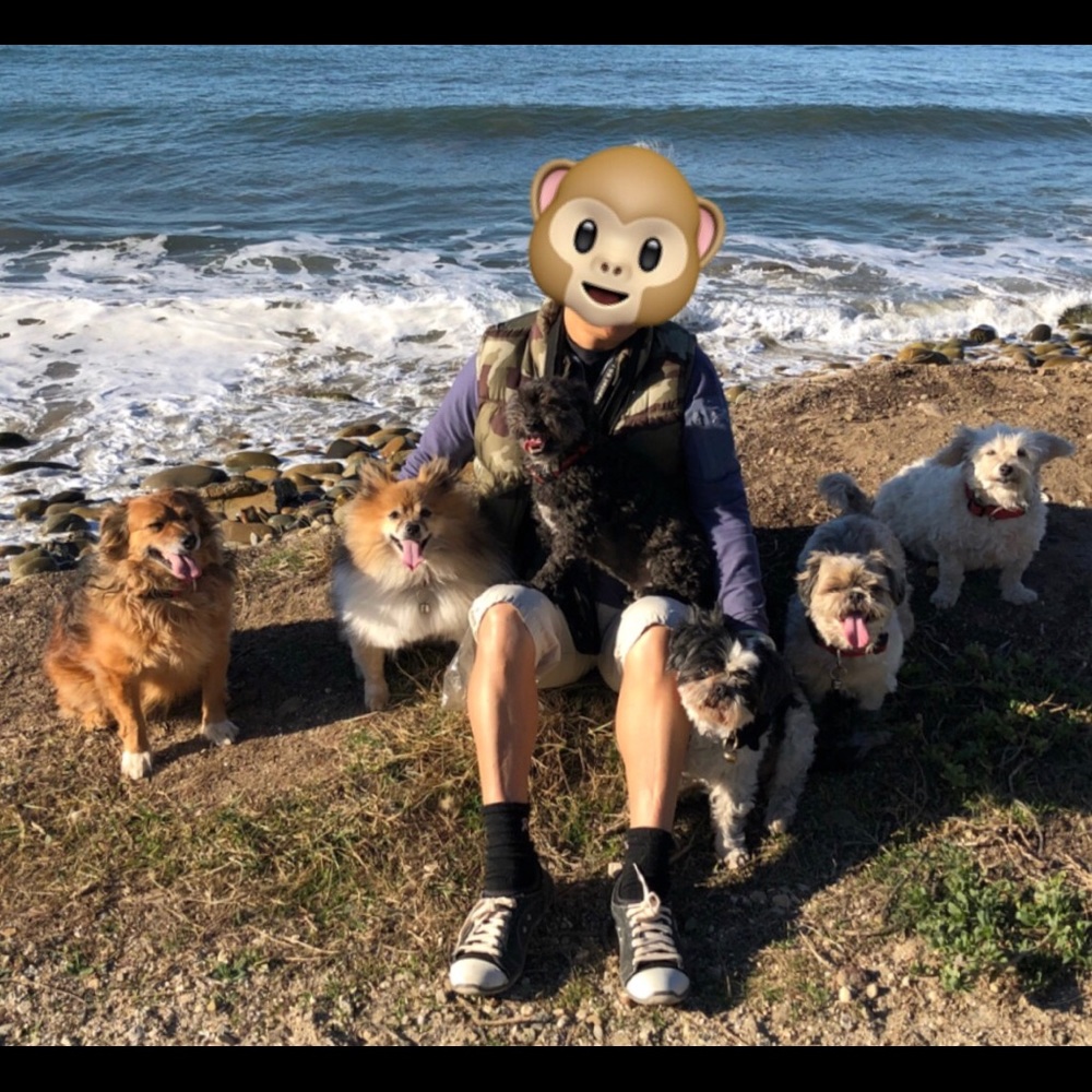 Meet your Posher, Viva